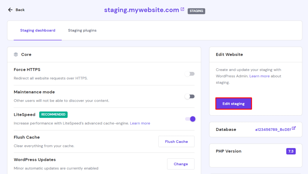 The-staging-dashboard-where-you-can-access-the-Edit-staging-button-to-start-making-changes-to-the-staging-site