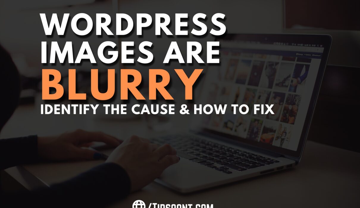 WordPress Images are Blurry - Identify the Cause & How to Fix