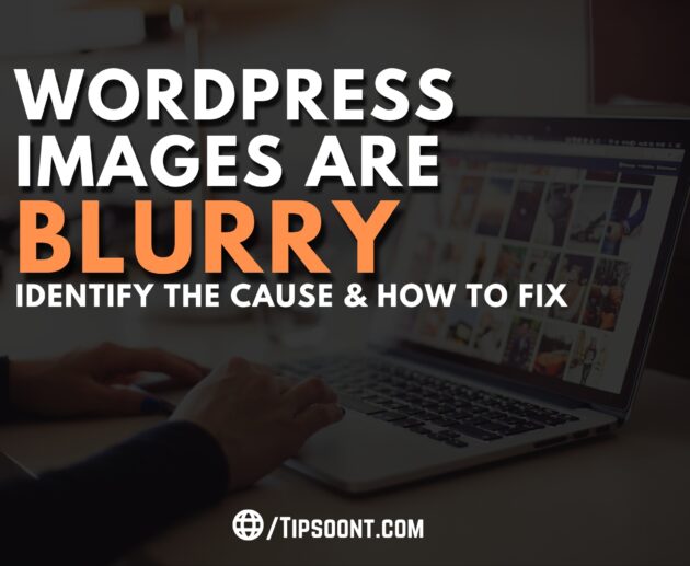 WordPress Images are Blurry - Identify the Cause & How to Fix