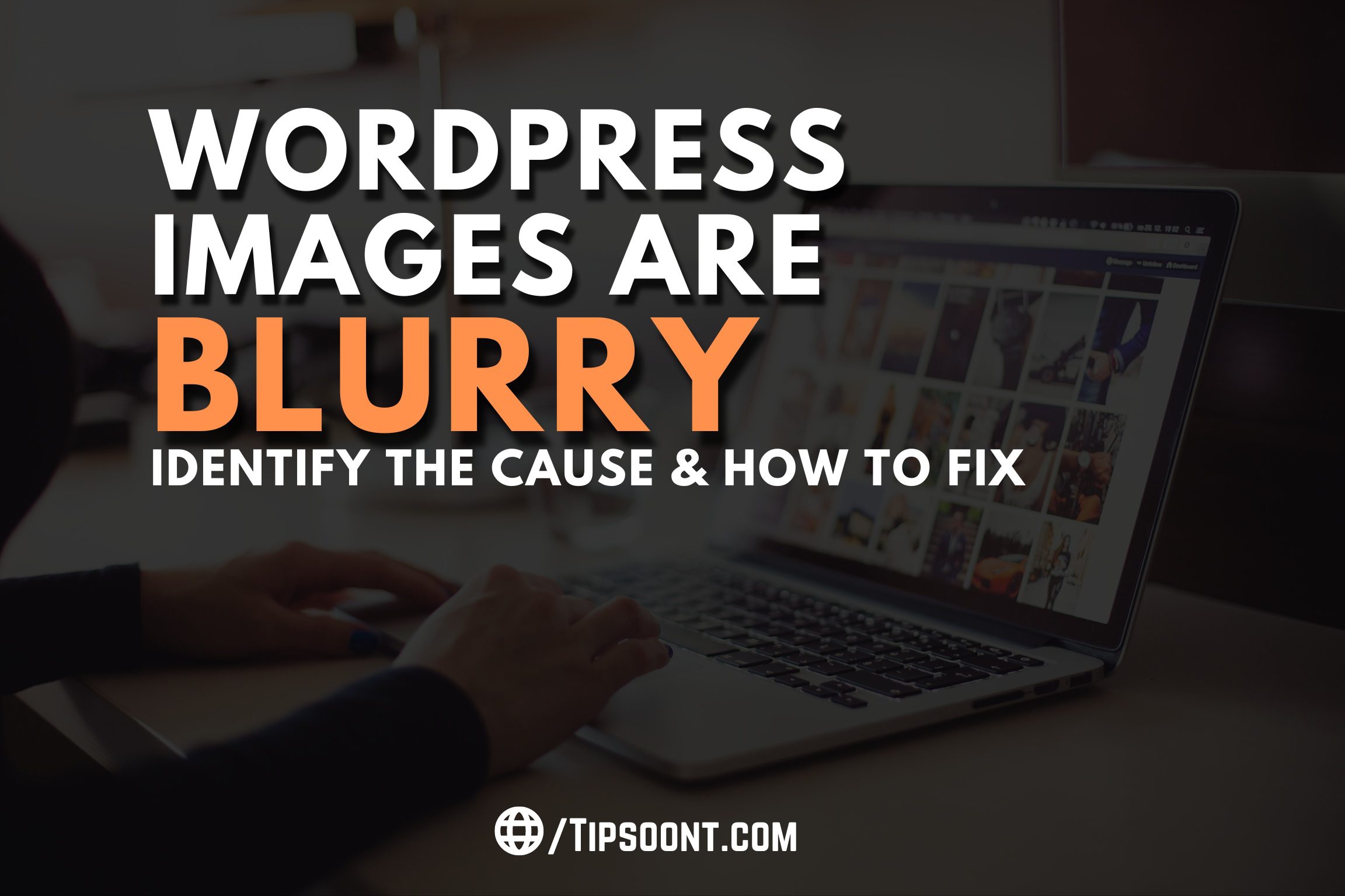 wordpress-images-are-blurry-identify-the-cause-how-to-fix