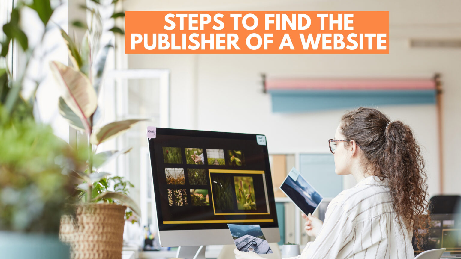 How to Find the Publisher Of a Website | 5 Easy and Latest Steps - TIPsoont