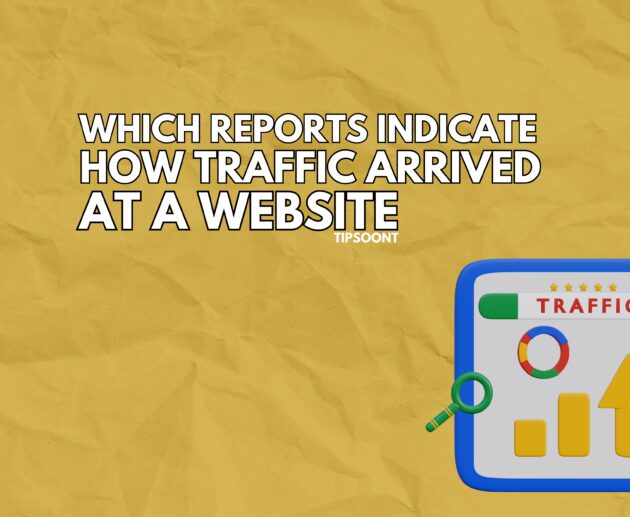 Which Reports Indicate How Traffic Arrived at a Website