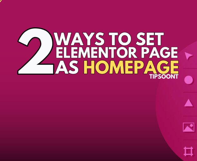 Set Up an customized page by Elementor as Your site Home page