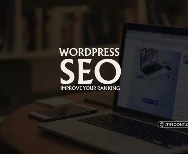 wordpress seo