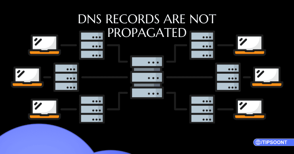 DNS records are not propagated